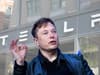 Elon Musk: why has Tesla boss bought Twitter shares, how much does he own and social media company share price