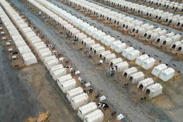 UK calf hutches featured in TV advert