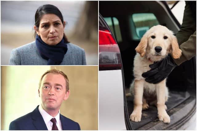 Tim Farron said Home Secretary Priti Patel is failing to take dog thefts seriously