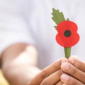 Poppy Appeal poppy