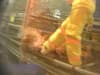 RSPCA Assured: Welfare scheme permanently drops AD Harvey over footage of workers kicking and stamping on hens