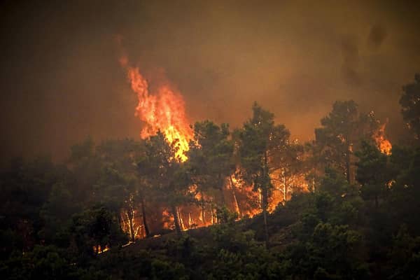 Flames rise during a forest fire on the island of Rhodes, Greece.