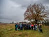 Amazon urged not to cut down 200-year-old tree on site of massive new distribution centre