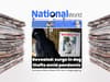 'Revealed: surge in dog thefts amid pandemic' - NationalWorld digital front page