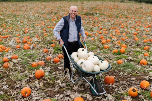 Nigel Doherty, produce buying manager at Tesco NI, with the locally grown Ghost pumpkins.