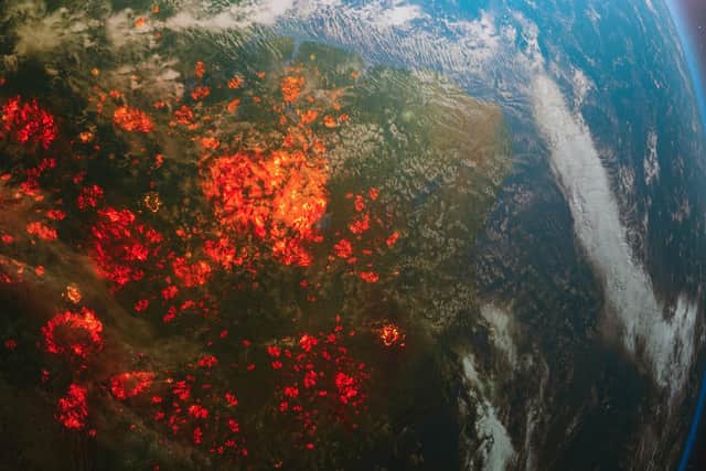 This aerial view from space shows the deadly deforestation of the Amazon, South America, caused by climate disaster (Picture: Shutterstock)