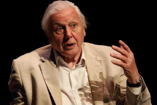 EXPERIENCE: We have so much for which to thank Sir David Attenborough.