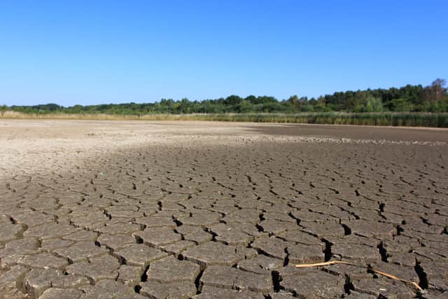 The west scrape at Potteric Carr, Yorkshire, dried up due to climate change and more extreme weather such as drought.