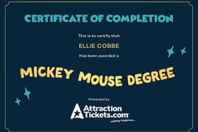 Mickey Mouse Degree Certificate Example
