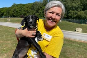 Volunteer Canine Assistant Gail Austen with Latte the 11-week-old Cane Corso puppy