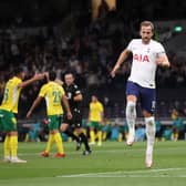 Harry Kane. (Photo by Catherine Ivill/Getty Images)
