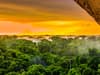 Amazon rainforest: former carbon sink now emitting more CO2 than it is able to absorb