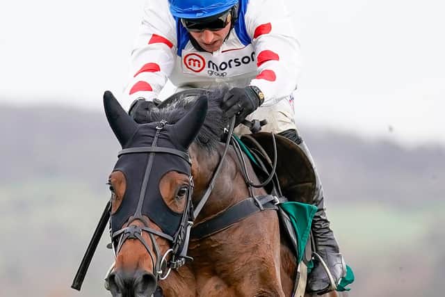 Harry Skelton riding Protektorat at the SSS Super Alloys Supports Racing Welfare Novices' Chase at Cheltenham Racecourse on November 13, 2020. (Photo by Alan Crowhurst/Getty Images)