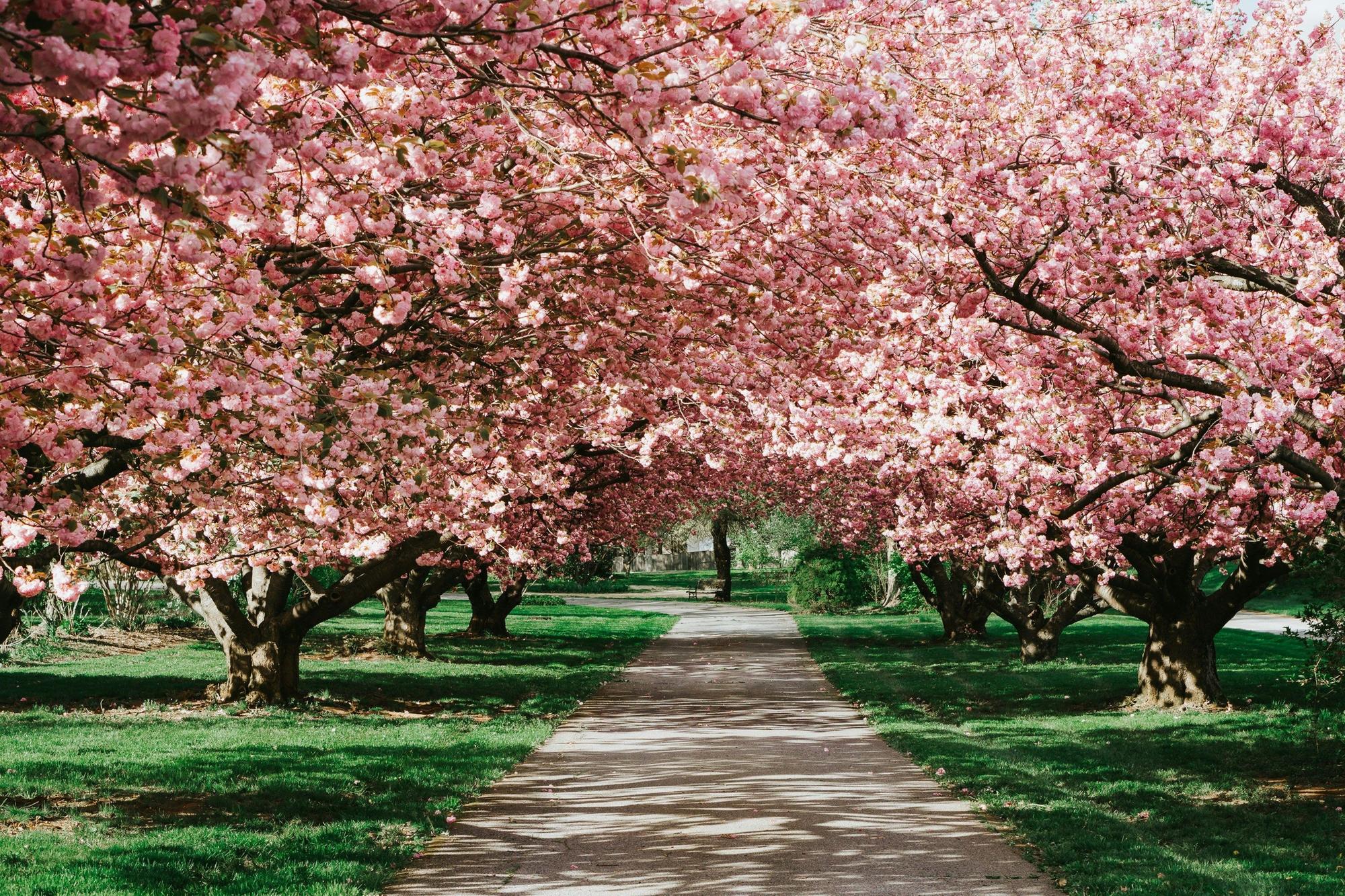 Revealed: the 10 prettiest spring destinations in the world