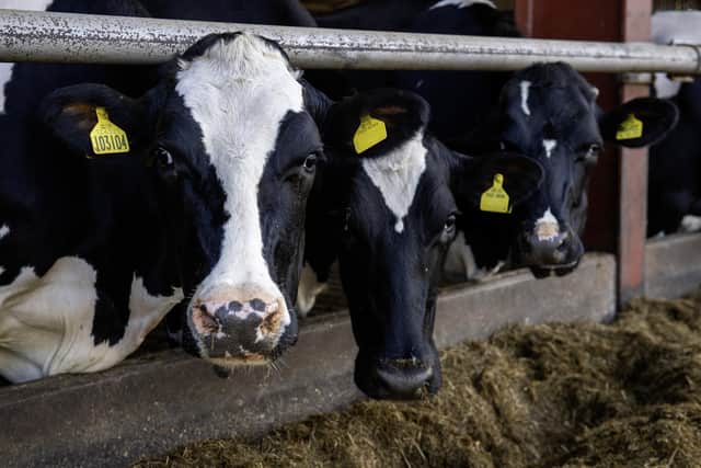 The Ulster Farmers Union has written to MPs ahead of next week's budget, calling for action to protect family-owned businesses. Picture: Bruce Rollinson