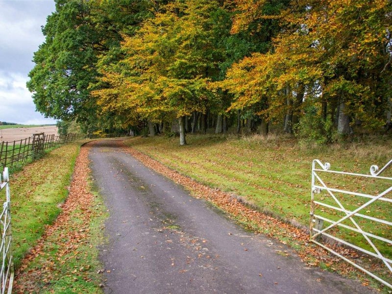 Driveway.
