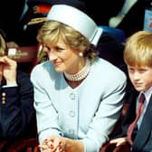 Harry and William both lay blame with the BBC and Bashir for the vulnerability and exploitation their mother endured during the final years of her life (Picture: PA)