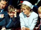 Harry and William both lay blame with the BBC and Bashir for the vulnerability and exploitation their mother endured during the final years of her life (Picture: PA)