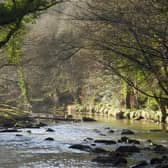 The River Esk at Glaisdale