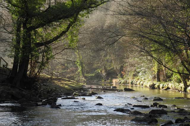 The River Esk at Glaisdale