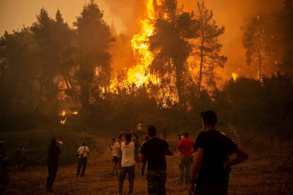 Greece has been battling devastating wildfires following the hottest temperatures in three decades (Photo by ANGELOS TZORTZINIS/AFP via Getty Images)