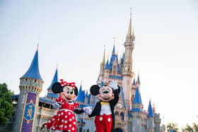The system to make a booking at the new Magic Kingdom bar Beak and Barrel at Walt Disney World has crashed.