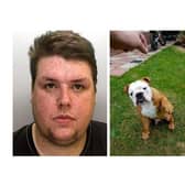 Tobias Powell pictured his dog imitating a Nazi salute and had a Nazi tattoo on his leg (Photo: Counter Terrorism Policing South East/Regional Organised Crime Unit)