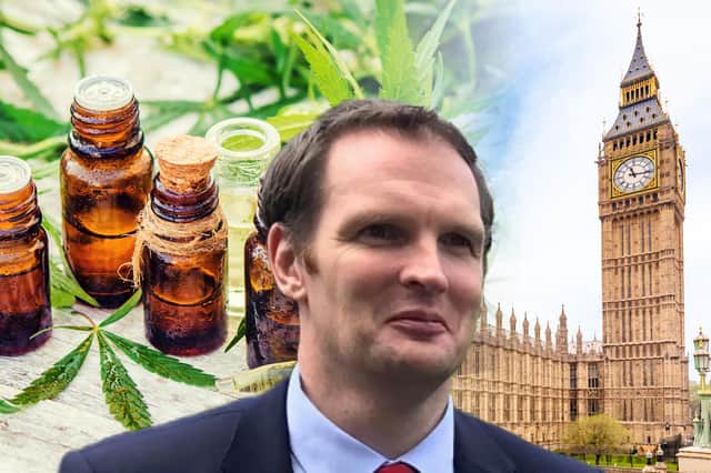MP who works almost 100 hours per month outside parliament takes another ‘second job’ with medicinal cannabis firm (Photo: Mark Hall/NationalWorld)