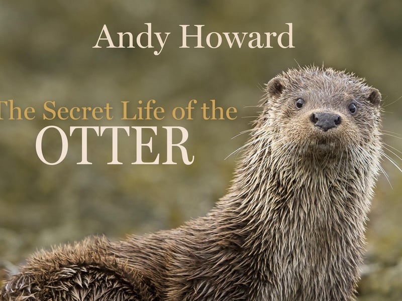Andy Howard's new book, The Secret Life of the Otter, has been described as "the most delightful and definitive portrait to date of this wonderful animal"