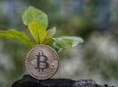 Bitcoin has set up a dedicated mining council to encourage miners to use renewable sources of energy as well as promote transparency in its usage, amid widespread criticism of the energy-guzzling process. (Pic: Shutterstock)