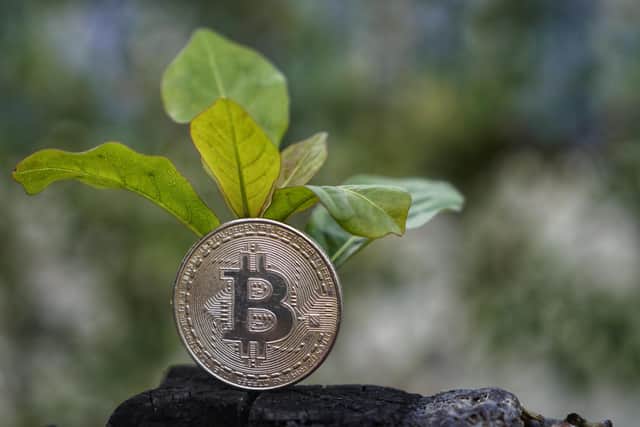 Bitcoin has set up a dedicated mining council to encourage miners to use renewable sources of energy as well as promote transparency in its usage, amid widespread criticism of the energy-guzzling process. (Pic: Shutterstock)