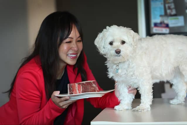 Dinner is served: the writer with her dog, Groot, whose calm temperament and nightly steak make him a far easier “child” to raise than the human kind.