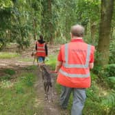 Volunteers at Dogs Trust Basildon