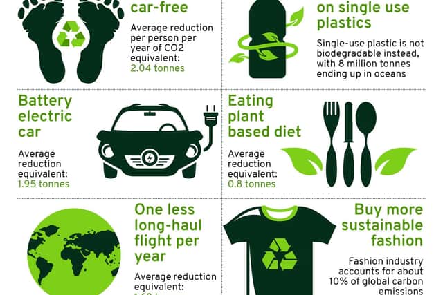 Here is ten easy steps to follow in order to lower our individual carbon footprints (image: NationalWorld/Kimberley Mogg)
