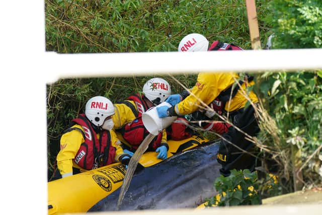 Members of the RNLI attempt to assist the Minke whale at Teddington lock (Photo: Yui Mok/PA Wire/PA Images)