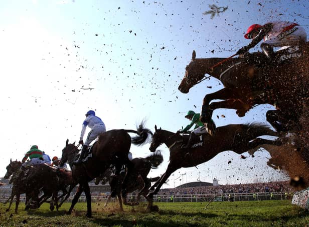 Grand National betting odds and tips (Photo by Alex Livesey/Getty Images)