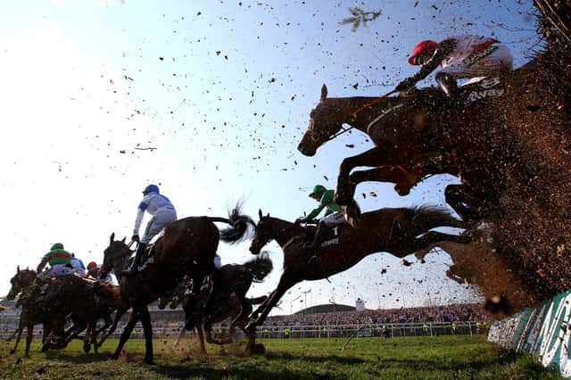 Grand National betting odds and tips (Photo by Alex Livesey/Getty Images)