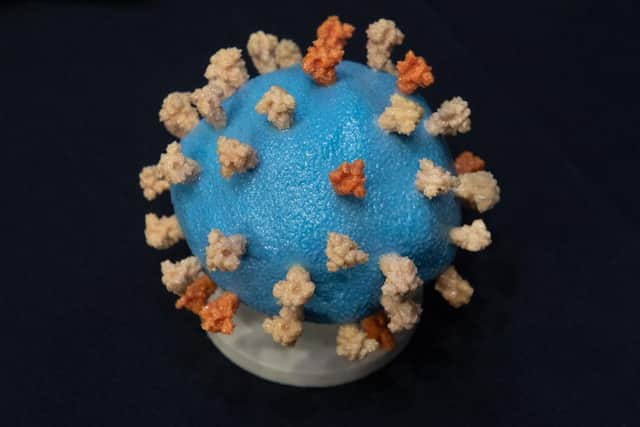 A model of the Covid-19 virus; most mutations only have one spike protein, but estimates suggest there are now over 40 found around the world with at least two (Photo: Saul Loeb-Pool/Getty Images)