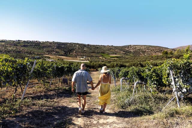 TUI's new dine and discover collection has now launched
