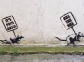 Two stenciled rats holding protest signs. Picture courtesy of Walter Francisco