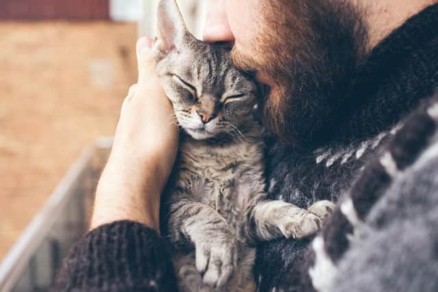 Scientists from the University of Glasgow have identified two cases of human-to-cat transmissions of Covid (Photo: Shutterstock)