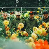 Super Furry Animals will headline TK Maxx Presents Live at Llangollen Pavilion on Thursday July 2